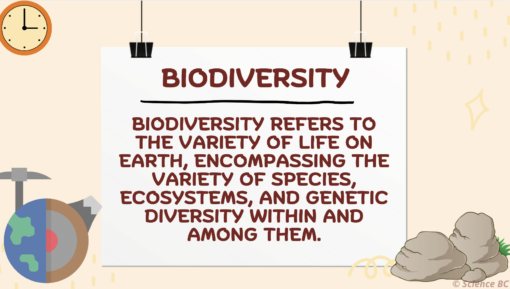 Biodiversity Change Over Geologic Time - Image 3